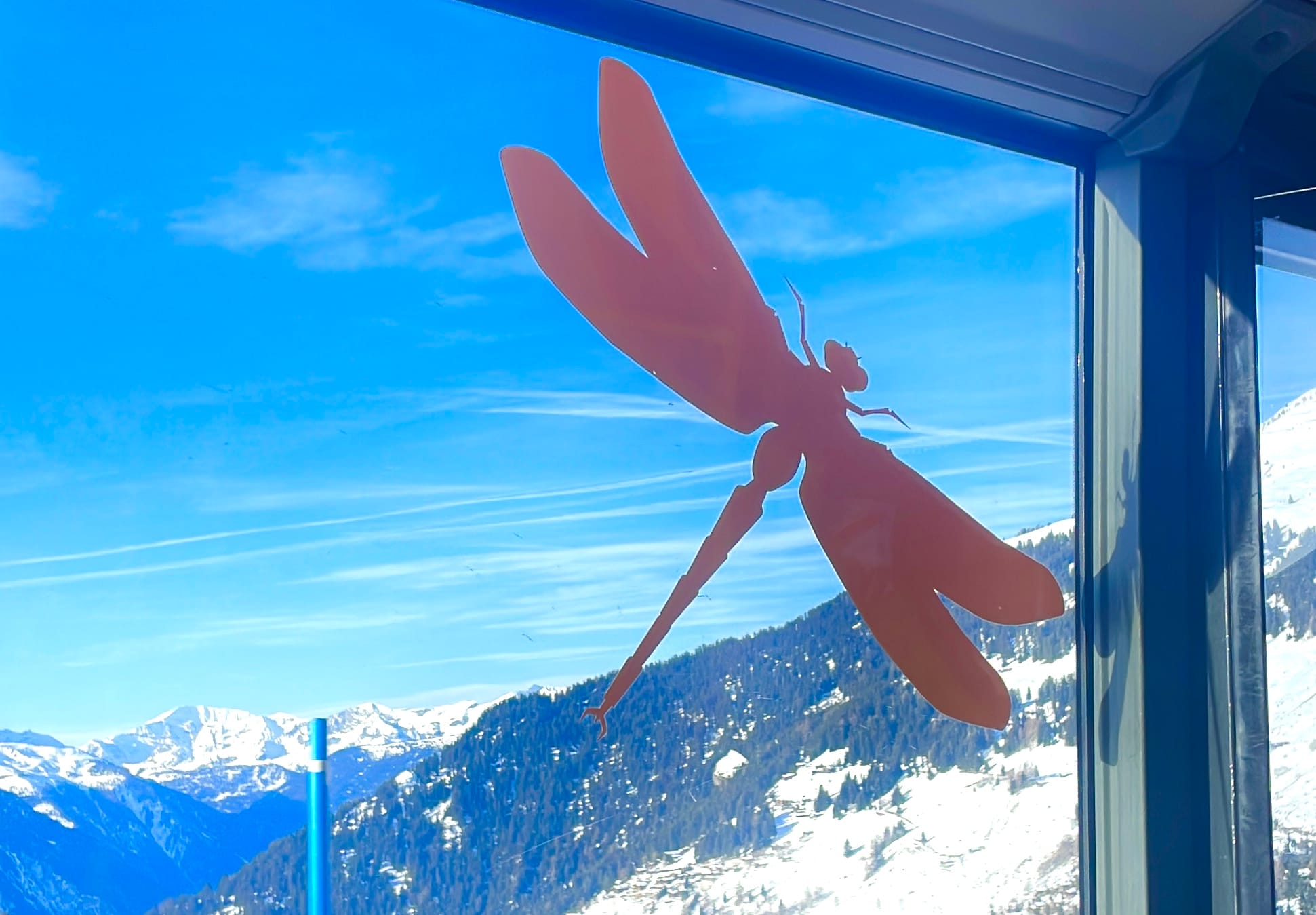 Vipassana: 10 Days of Silence in India — Part 3: The Girdle of Liquid Fire, Day 4