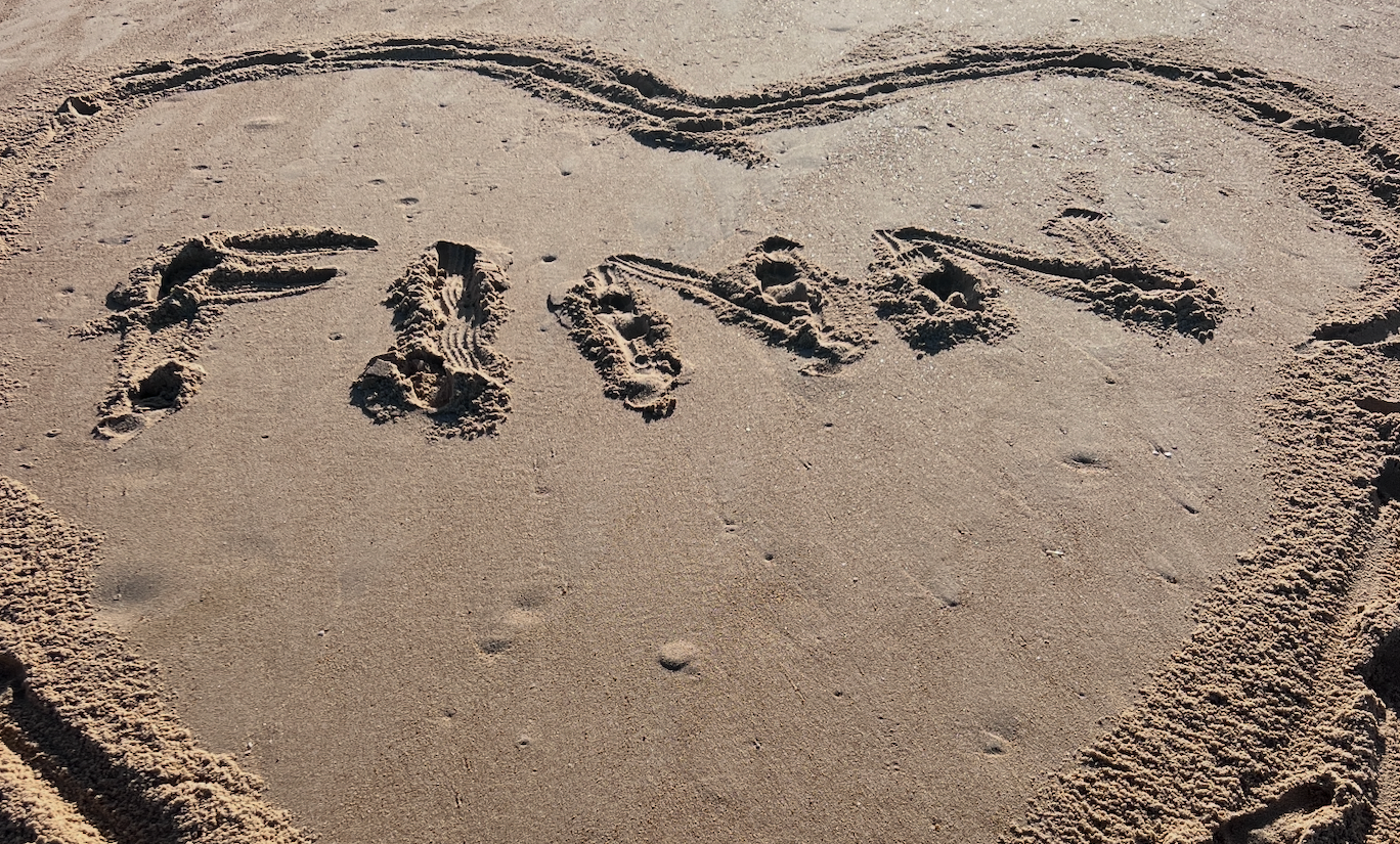 Vipassana: 10 Days of Silence in India — Part 6: Days 7 and 8